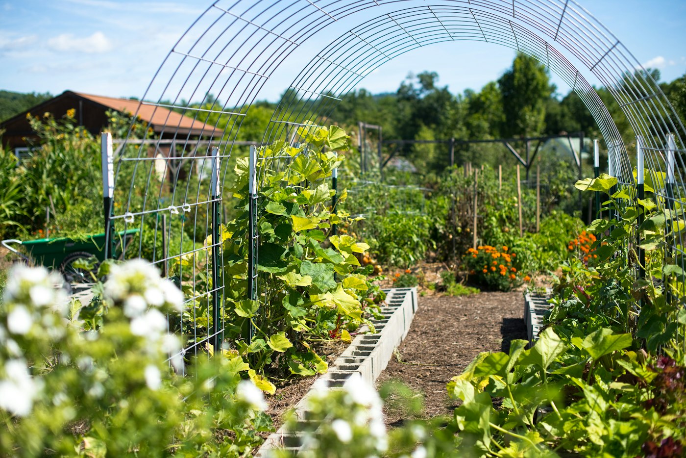 Farm & Garden