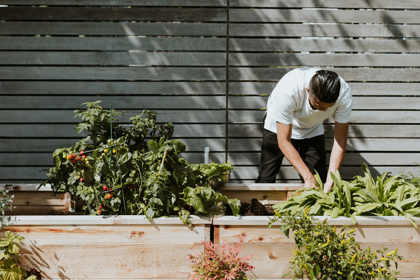 How to Renovate Your Garden on a Budget