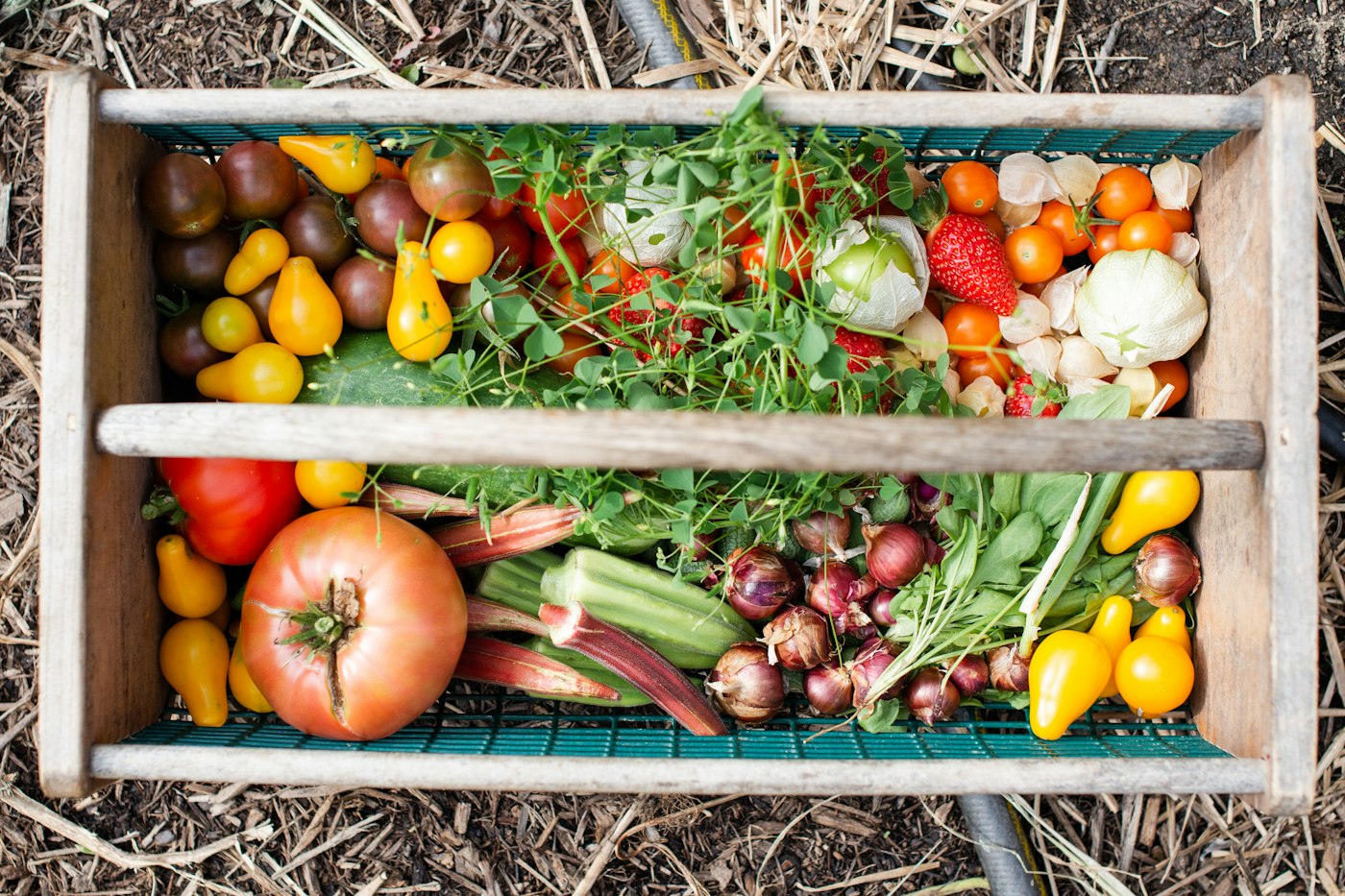 Garden Harvest and Canning