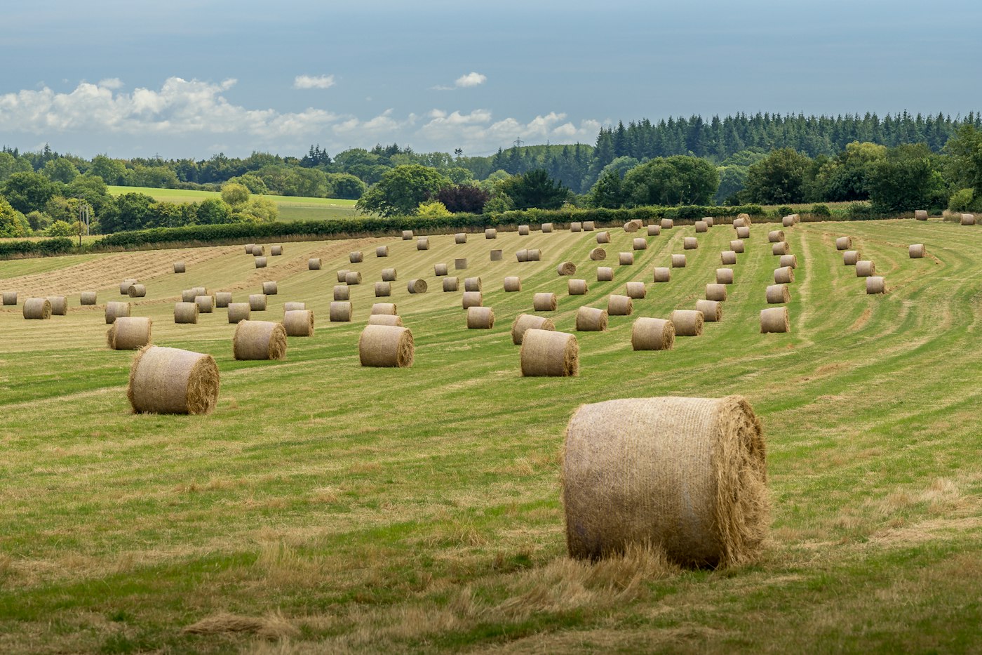 Hay Bales