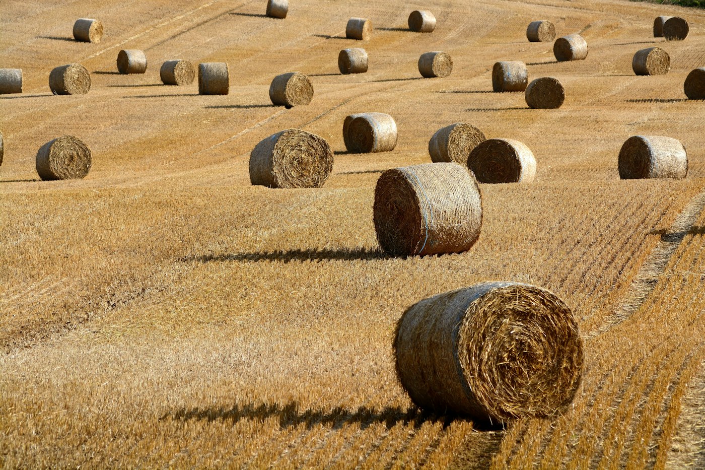 Hay Storage