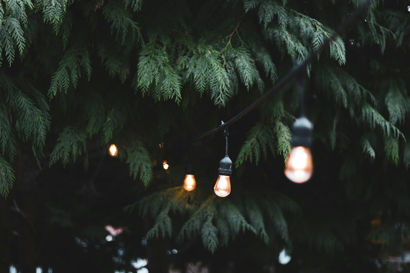 A Guide to Outdoor Lighting for Gardens