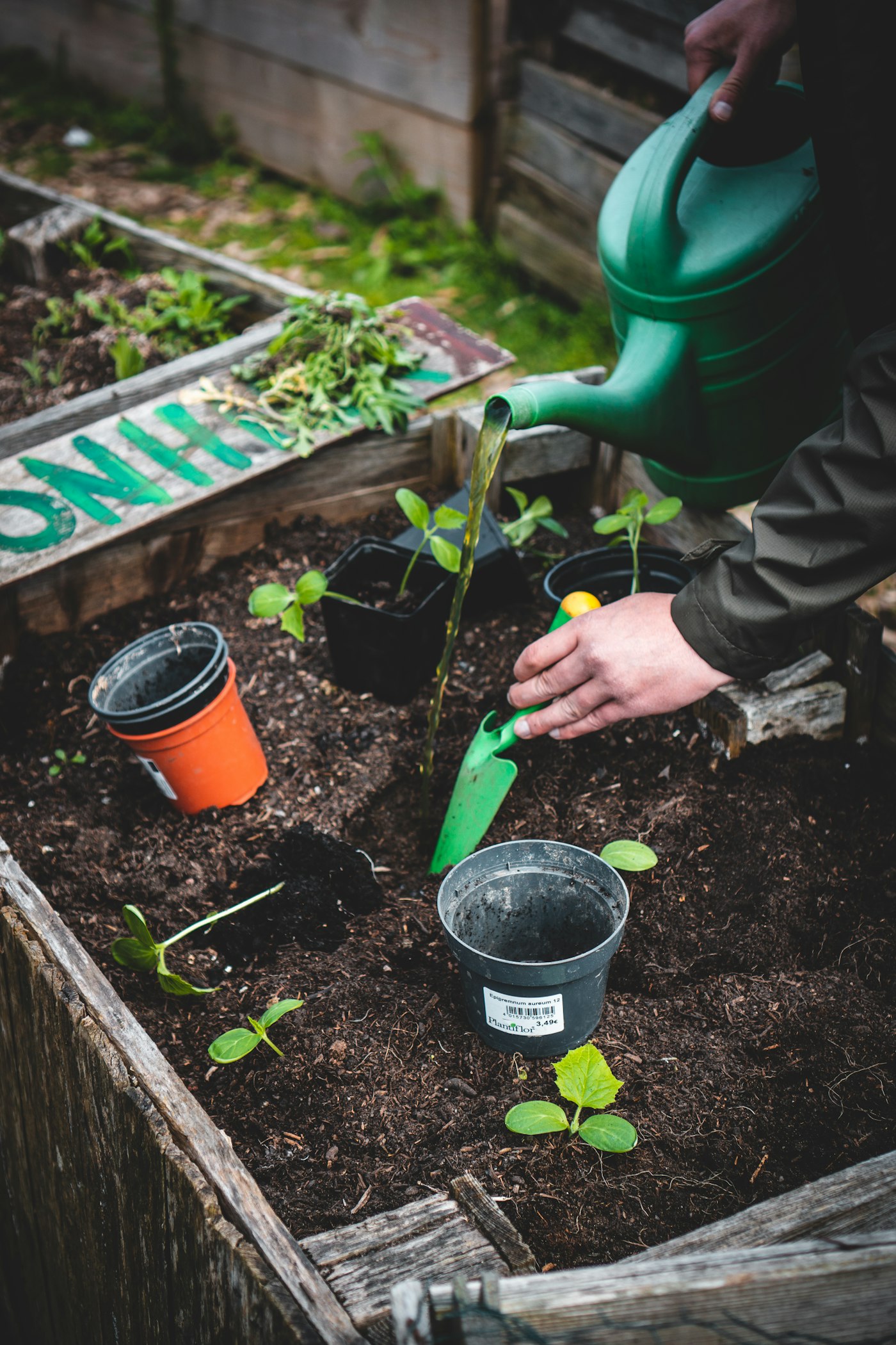 Selecting the Right Plants for Your Garden
